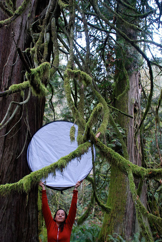 Photographic assistant Crystal Cerny on location in BC's coastal rainforest