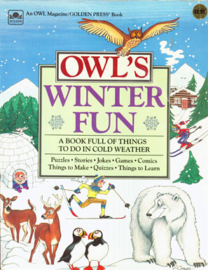owl-winter-fun-book-cover