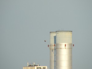 Unidentified flying object near smoke stack