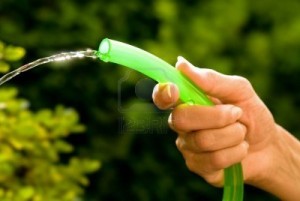 3418376-watering-the-plants-with-a-garden-hose