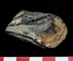 The alleged "fossil kraken beak" touted by McMenamin as the beak of the giant kraken responsible for arranging ichthyosaur bones into art. The scale is in centimeters, so it is only 5 cm long, too small to belong to any giant squid. In addition, the preservation and other details of the specimen do not resemble a cephalopod beak but some other rock or concretion.